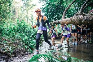 BIB: 
                            <button type="button" onclick="openModal(25466731)" class="btn btn-primary btn-sm float-right btn-popup" data-toggle="modal" data-target=".modal-high-quality">
                        <i class="fas fa-shopping-cart"></i> Add to Cart
                    </button>
                                            <button type="button" onclick="isThisMe(25466731, true)" class="btn btn-success btn-sm float-right btn-popup btn-isme hidden" data-toggle="tooltip" data-placement="bottom" title="นี่คือรูปของคุณใช่ไหม คลิกที่นี่เพื่อเอาเข้าอัลบั้ม">
                        <i class="fas fa-plus"></i> Add to album
                    </button>
                    <button type="button" onclick="isThisMe(25466731, false)" class="btn btn-warning btn-sm float-right btn-popup btn-isnotme hidden">
                        <i class="fas fa-ban"></i> Remove from album
                    </button>